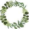 Green wreath of leaves