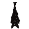 BAT POCKET PET