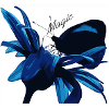 Fleur Bleue Magie avec Magie