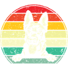 Holländischer Schäferhund Berger hollandais