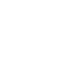 Skifahrer Pistensau Ski