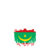 Mauritania Flag Mauritanian roots