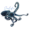 Octopus - Octopus