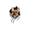 My French Bulldog is Perfect