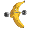 Gym Muscles Musculation Musculation