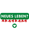 Wann startest du?