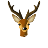 Wild animal