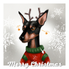 Süßer Miniatur-Pinscher im Weihnachtspullover.