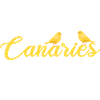 Canary Whisperer / Bird Motif