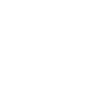 Dog Pet