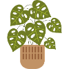planter