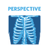 Perspective matters. X-ray assistant