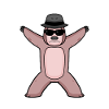 Cool Sloth Animal