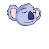 Koala Head Koalas