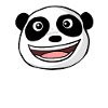 Tête de panda