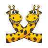 Giraffes Giraffe