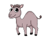Cute camel