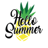 Hello Summer Png Summer Quotes