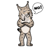 Luchs Katze