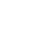 A White Lizard