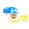 SHAKE N.Y. Blue