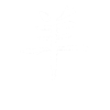 Goat Chinese Zodiac Sign