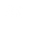 Pig Chinese Zodiac Sign