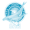 Humpback Whales Bali Indonesia