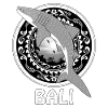 Requin baleine Bali Indonésie