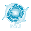 Schwarzspitzenriffhaie Bali Indonesien