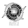 Schwarzspitzenriffhaie Bali Indonesien
