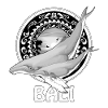 Humpback Whales Bali Indonesia