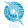 Requin baleine Bali Indonésie