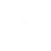 Adult In Training Birthday Adult