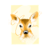 faon mignon, dessin