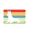 Holländischer Schäferhund Berger hollandais