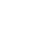 Wolfsspitz Papa