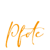 Als ich eine Hand suchte fand ich eine Pfote