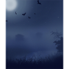 Goth Ästhetik Vollmond Und Fledermäuse