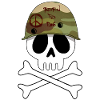 Military skull