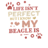 My Beagle is perfect