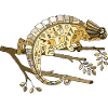 Chameleon