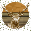 Cerf