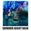 Summer Night Rain Wings Drops