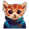 Chatons avec pull