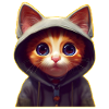 Chat avec pull