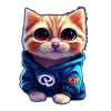 Bébé chat avec pull