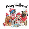 Merry Wuffmas!