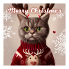 Süße britische Katze im Weihnachtspullover.