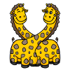 Giraffes Giraffe